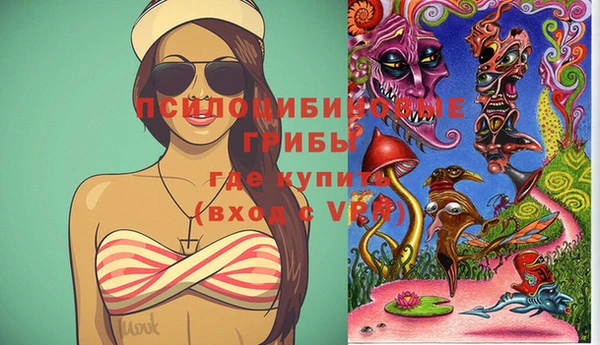 шишки Абдулино