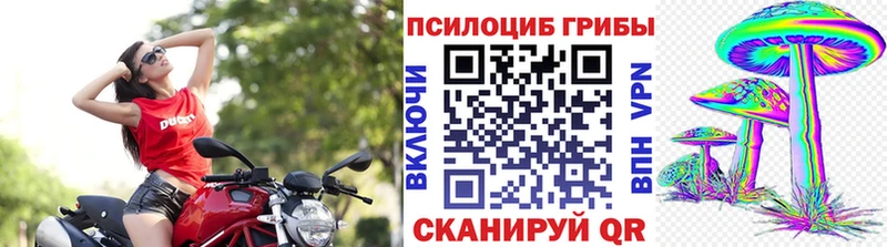 Галлюциногенные грибы Psilocybine cubensis  Шилка 